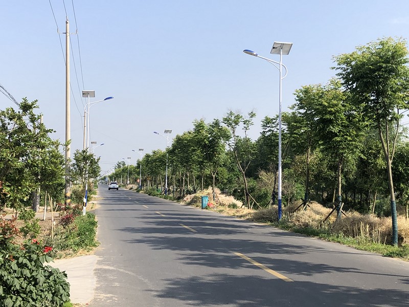 太陽(yáng)能路燈2 (復制)